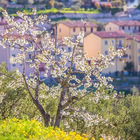 شقة Valpolicella Homes Amarone SantʼAmbrogio di Valpolicella