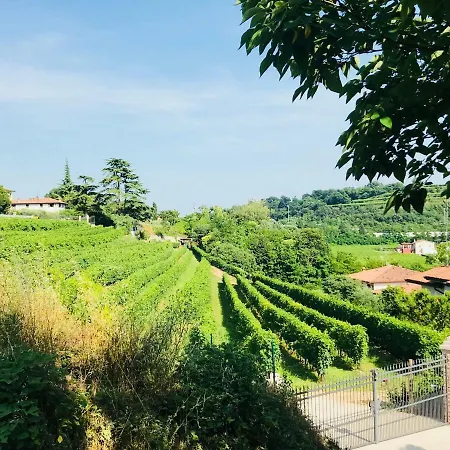 Valpolicella Homes Amarone *